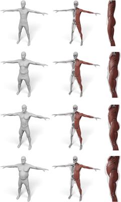 Inside Humans: Creating a Simple Layered Anatomical Model from Human Surface Scans